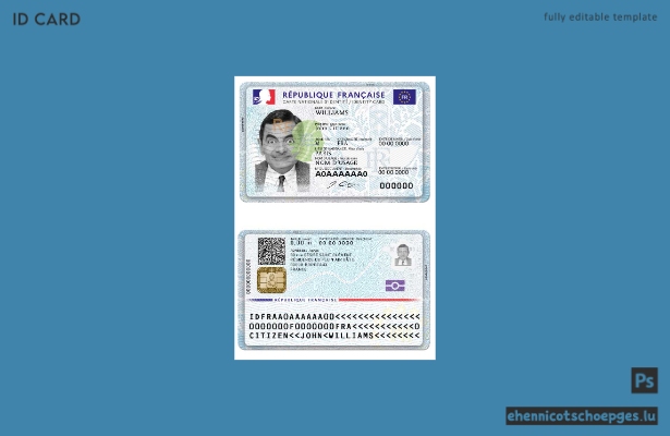 Frankreichs neue ID 2021 März - aktuelle Beispielvorschau